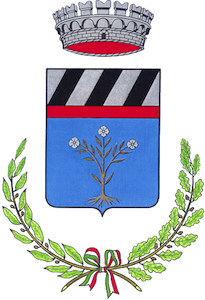 san-fior-logo san-fior-logo