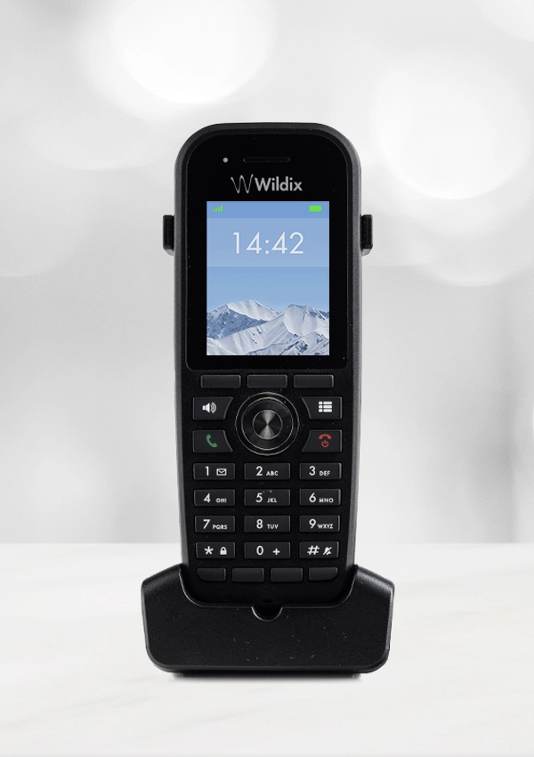 W-AIR Basic2. The everyday phone for massive installations.