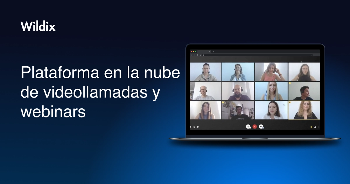 Wizyconf Professional Videoconference - ES