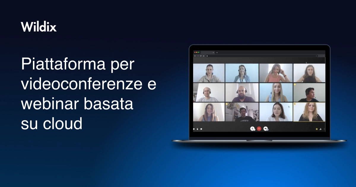 Wizyconf Professional Videoconference - IT