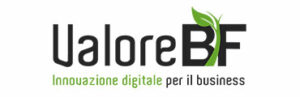 valore-bf-wildix-partner