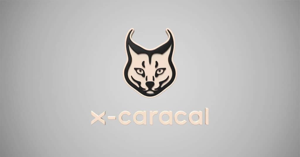 x-caracal: Call center monitoring and analytics