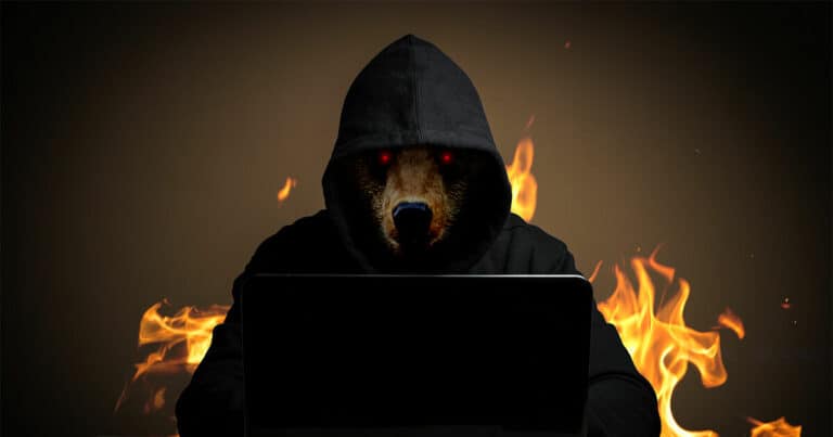 Webinar - "Cybersecurity and the Burning Bear Problem"