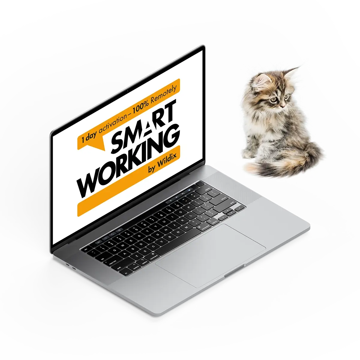 smartworking