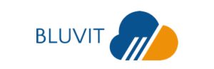 bluvit-wildix-partner