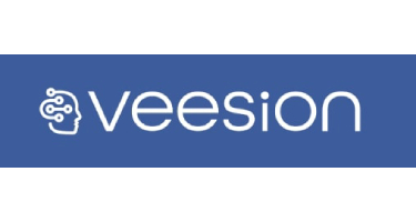Veesion logo preview