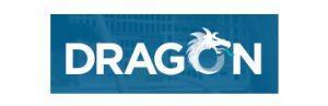 Dragon Information Systems Ltd - logo