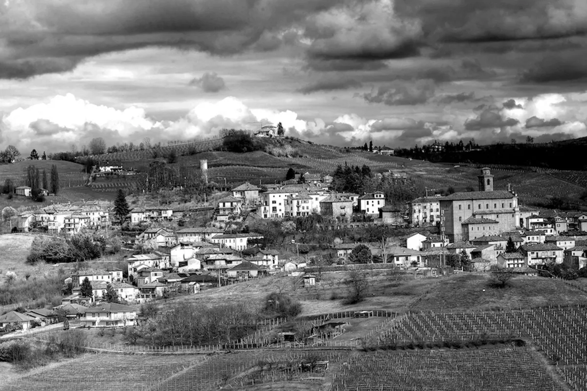 Cecilia-Monte-2