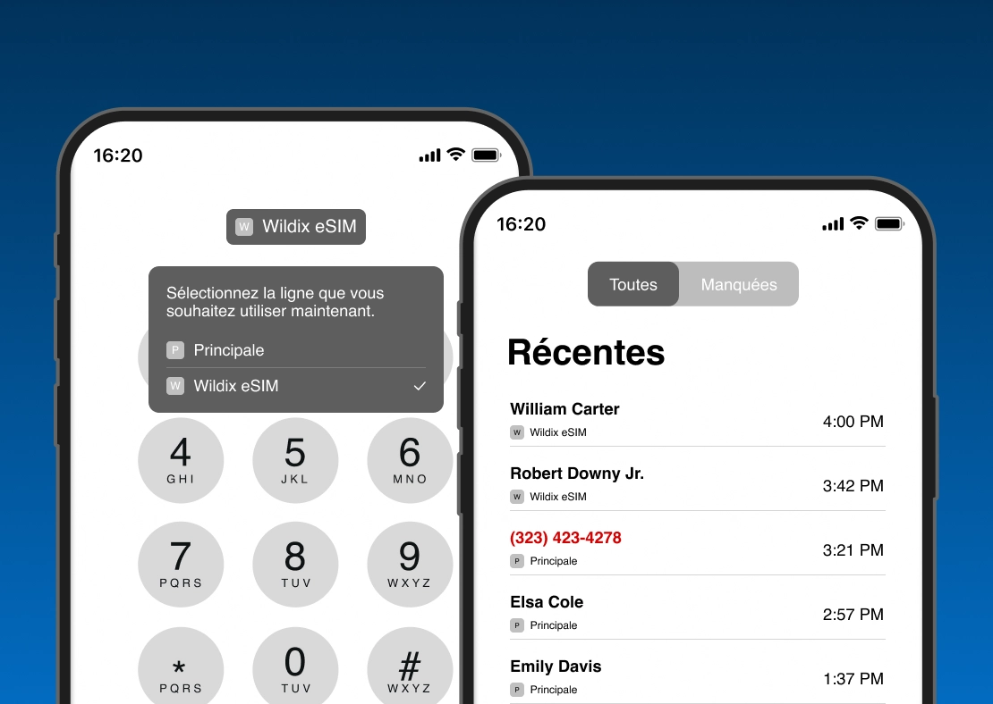 Request your business eSIM - WIldix eSIM line - FR