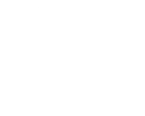 Voice Engineer Dot Com Ltd